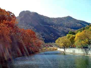 新澳天天开奖资料大全旅游团，冬泉火酒